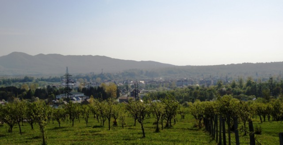 Horezu